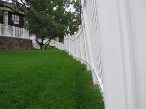 Green lawn in Coral Gables FL with minimal watering