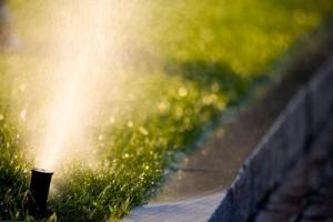 sprinkler head wastes water