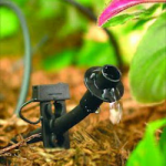 for even distribution of water we can install a drip irrigation system